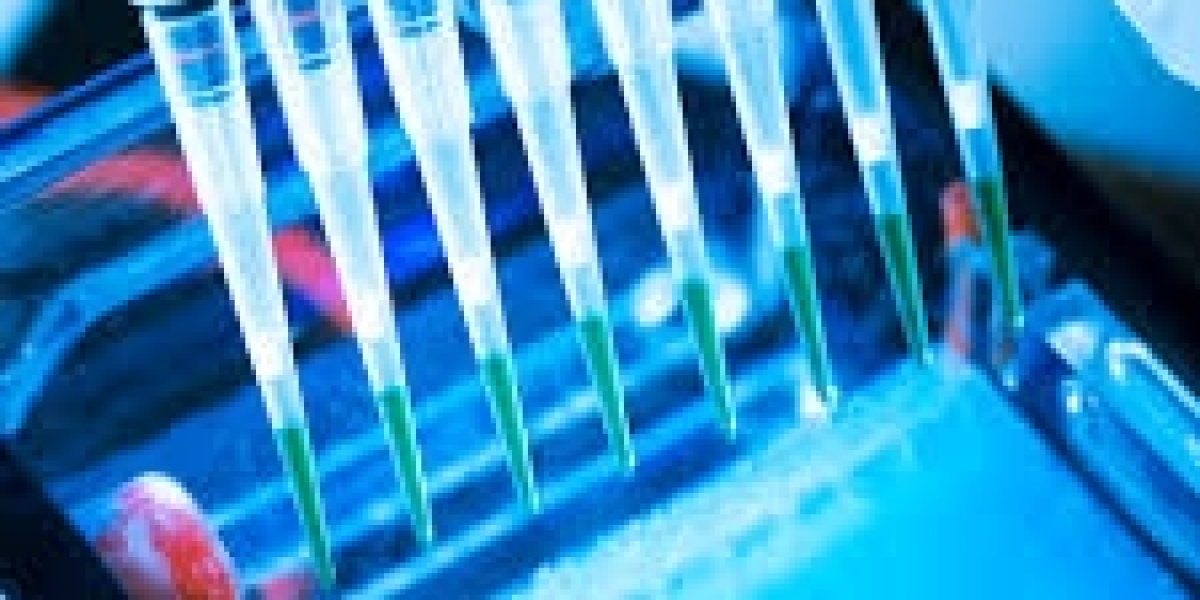 Agarose Precast Gel Market Revenue Growth and Quantitative Analysis Till 2033