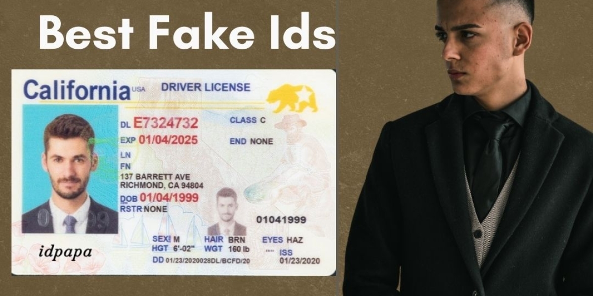 Unlock Your Identity: Purchase the Best Maryland IDs from IDPAPA!