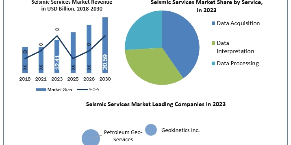 Seismic Services Market business strategy, industry size, share, development forecast till 2030