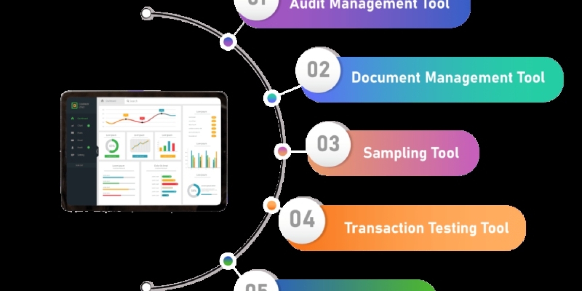 Audit Software Market Statistics, Business Opportunities, Competitive Landscape and Industry Analysis Report by 2030