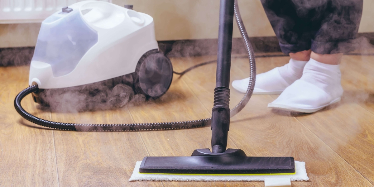 Steam Vacuum Cleaner Market Research Analysis with Trends and Opportunities To 2033