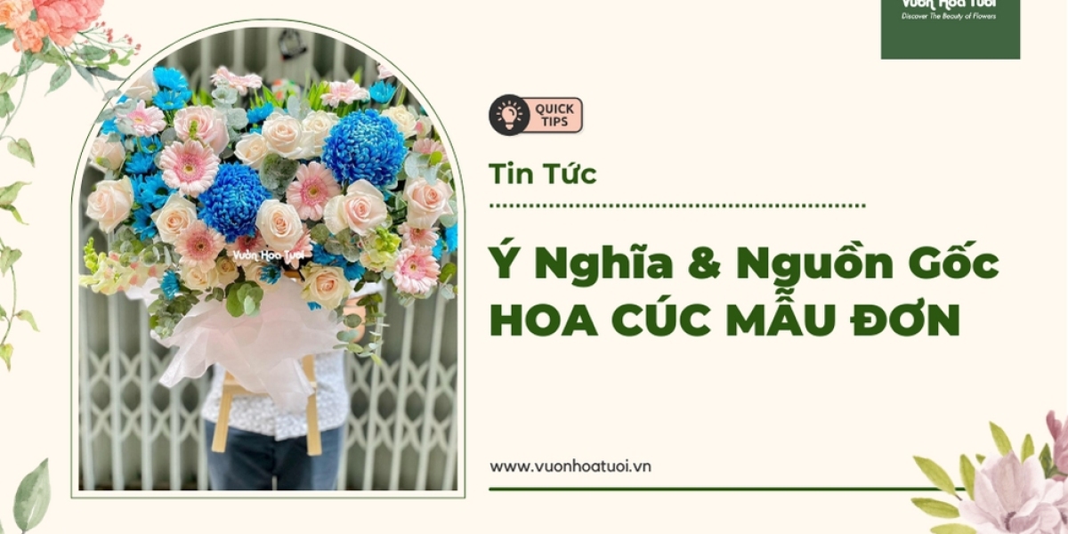 Ý Nghĩa Hoa Cúc Mẫu Đơn trong cuộc sống