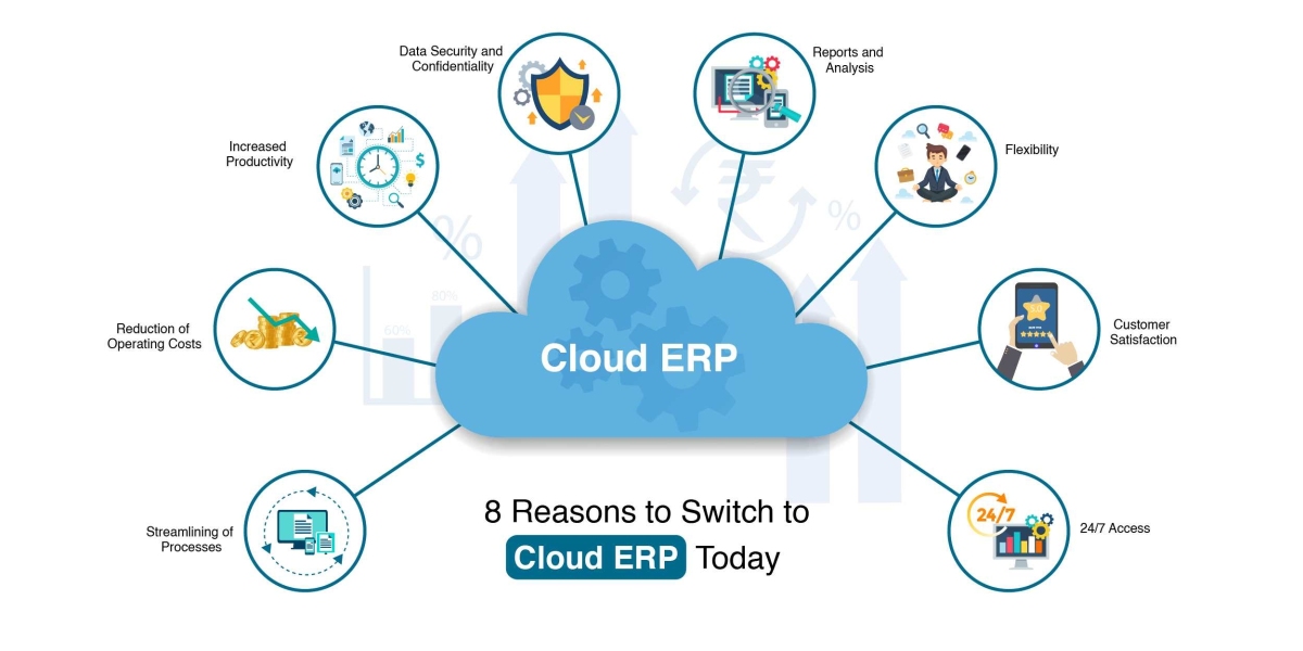 Driving Transformation: The Evolution of Cloud ERP Solutions 2023-2032