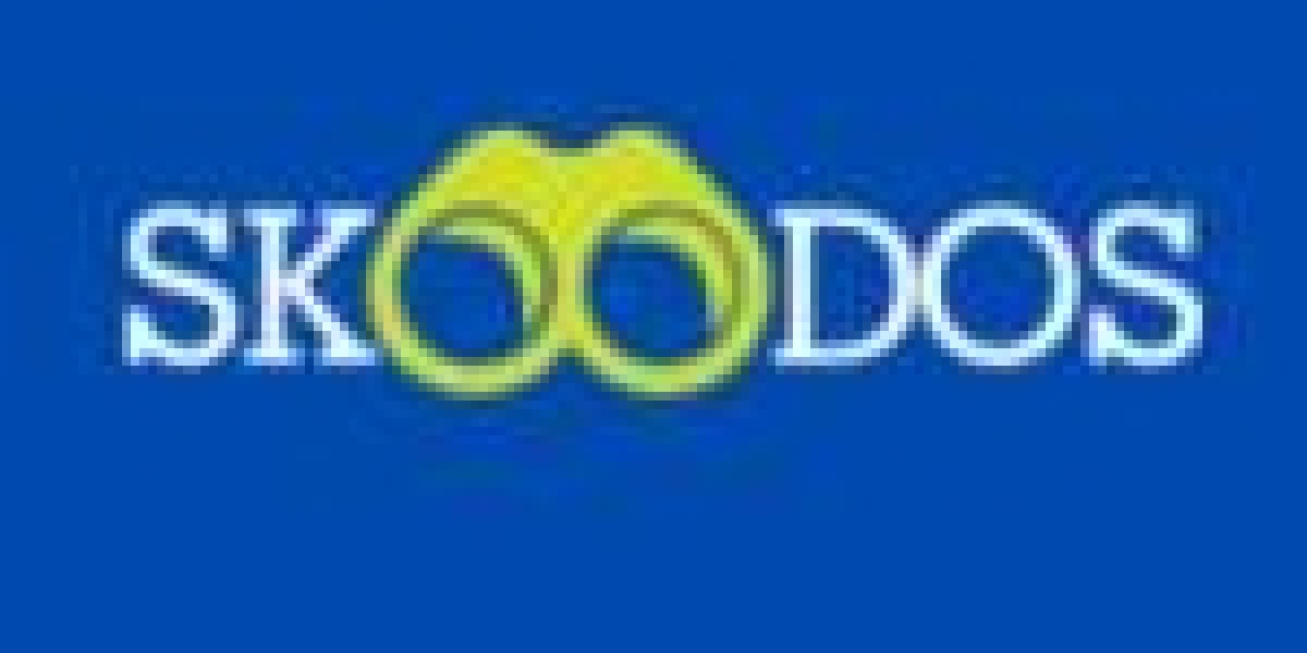 Navigating Educational Excellence: The Skoodos Advantage