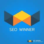 SEO winner