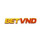 BETVND PRO