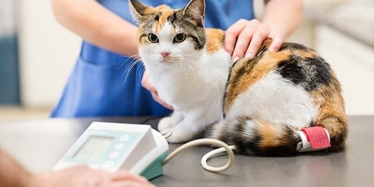 Breaking Ground in Animal Healthcare: Veterinary Electrosurgery Market Insights