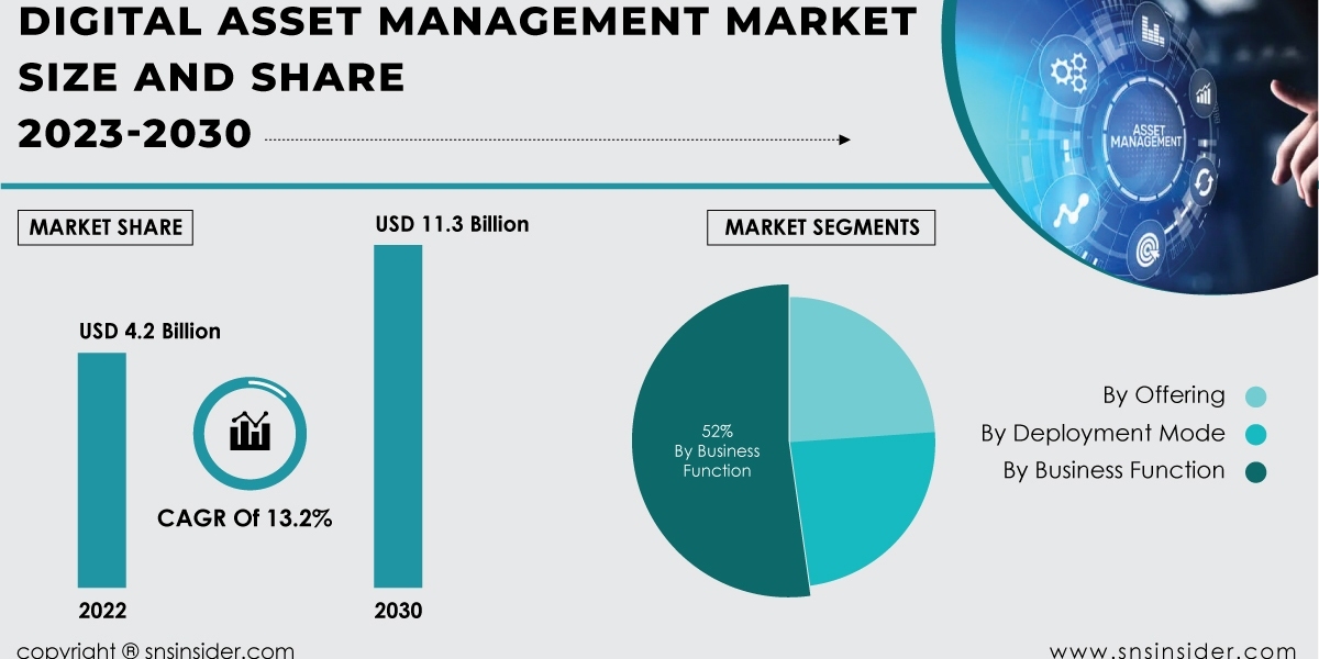 Digital Asset Management Market Competitive Landscape | Analyzing Industry Players