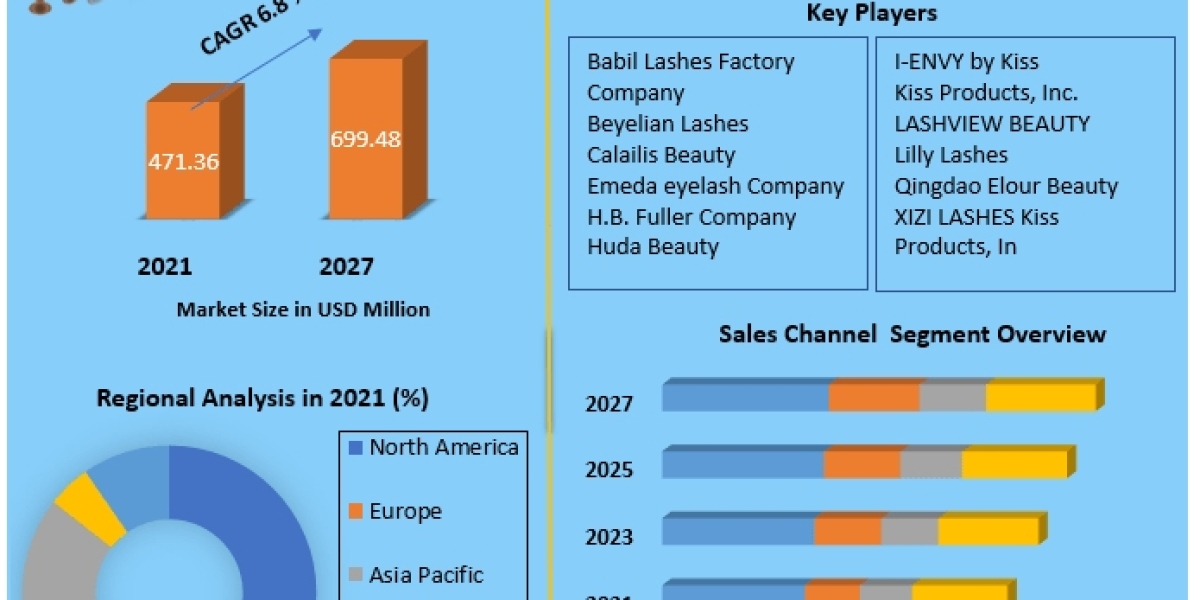 DIY Eyelash Market  Key Trends, Opportunities, Revenue Analysis, Sales Revenue To 2030