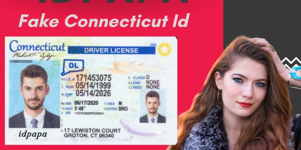 Discover Excellence: Purchase the Best Connecticut IDs from IDPAPA