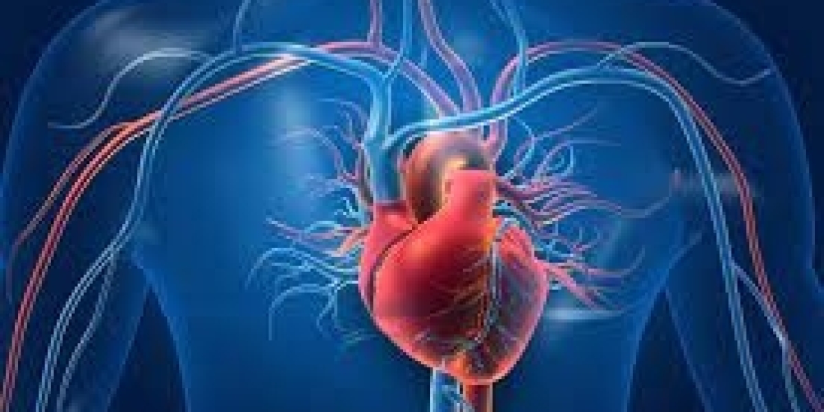 Acute Coronary Syndrome Market Trends: Epidemiology, Size, Share, Analysis and Forecast till (2024-2034)