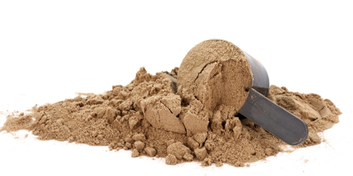 Cricket Protein Powders Market: Navigating the Booming Insect Protein Industry