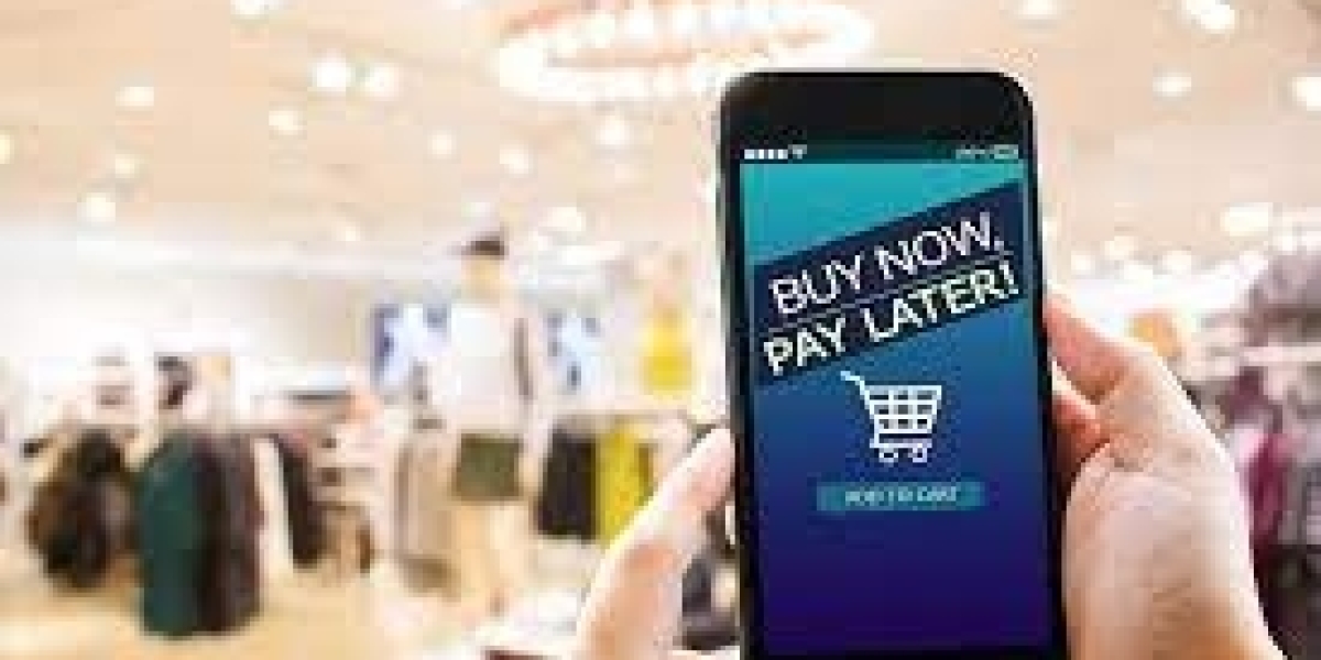 Buy Now Pay Later (BNPL) Market Segmentation, Industry Analysis by Production, Consumption, Revenue And Growth Rate By 2