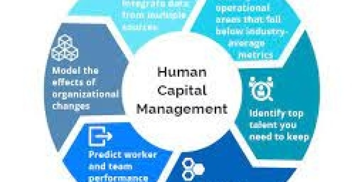 Human Capital Management (HCM) Software Market Manufacturers, Type, Application, Regions and Forecast to 2030