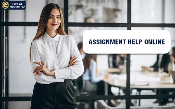 Improve Your Grades With The Best Assignment Help In The USA