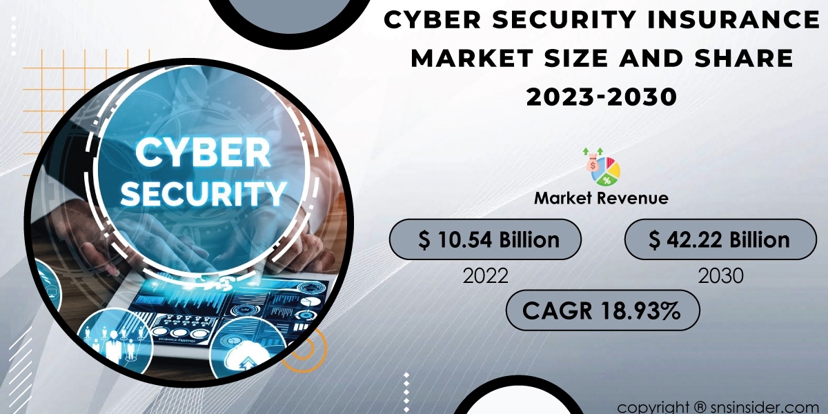 Cyber Security Insurance Market Opportunities and Challenges | A Detailed Overview