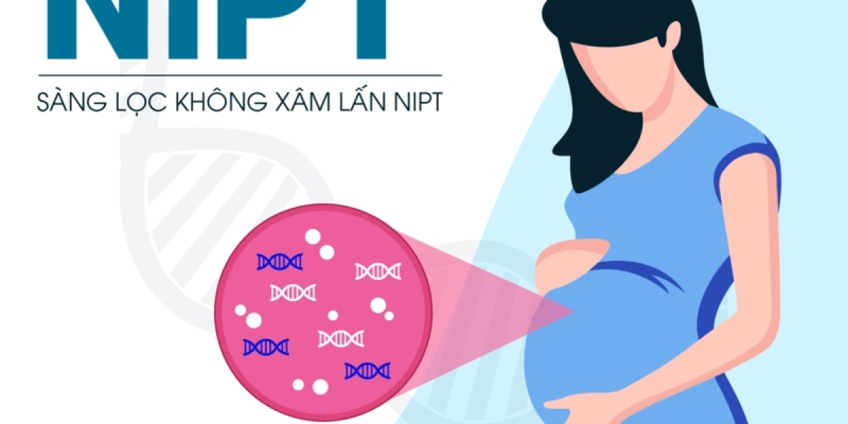 Xét nghiệm NIPT ở Hà Nội: Sức khỏe Thai kỳ và An toàn Gia đình