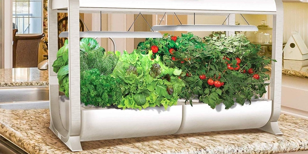 Smart Indoor Gardening System Market is Estimated to Witness High Growth Owing to Advancements in IoT and Smart Sensors