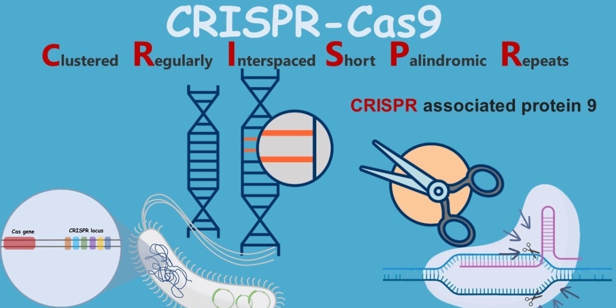 CRISPR Technology Market Analysis: Trends, Innovations, and 2024 Forecast Study