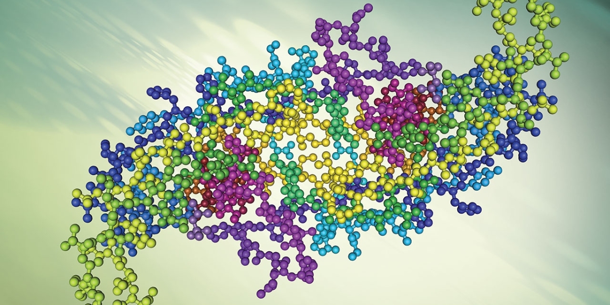 The Global Proteomics Market driven by Growing Adoption of Proteomics in Drug Discovery