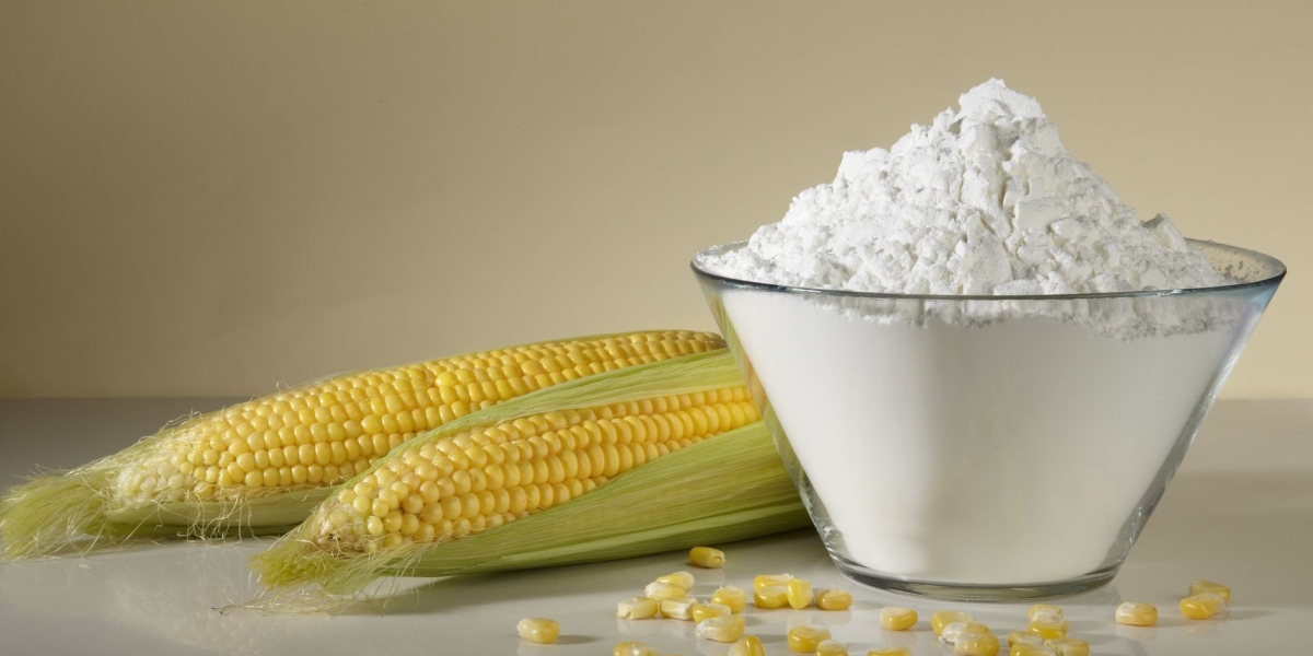 The Global Starch Derivatives Market Growth Is Driven By Growing Food And Beverage Industry