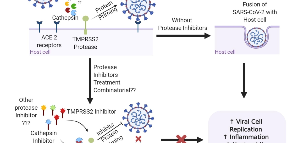 From Research to Reality: The Journey of C1-inhibitor Treatment