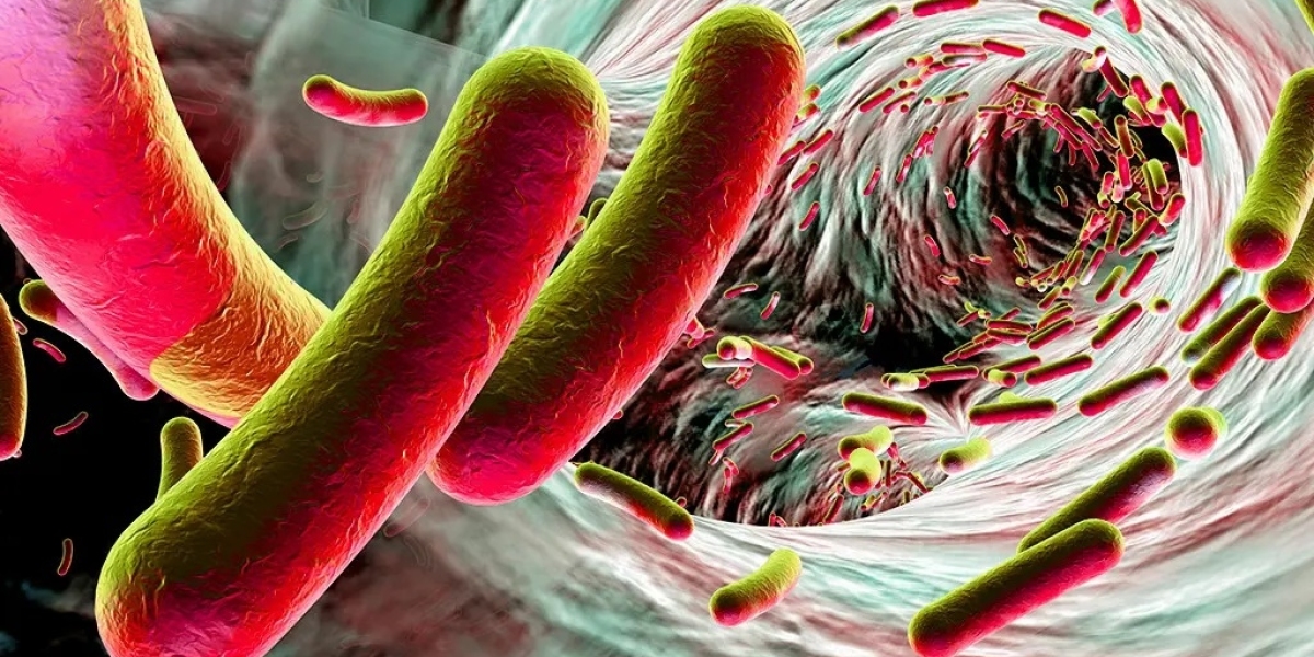 Clostridium Difficile: Diagnosis Dilemmas and Treatment Triumphs