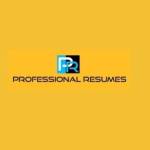 RESUMES PROFESSIONAL