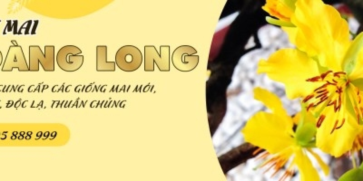 Tìm Hiểu Loài Mai Đẹp Mai Tứ Quý