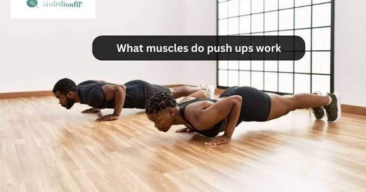 Unveiling the Power of Push-Ups: Muscles Engaged and Benefits