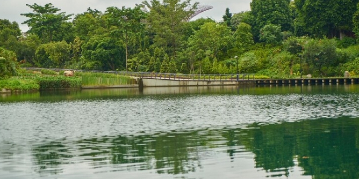 Exploring the Tranquil Beauty of Waterfront Living on Mousam Lake