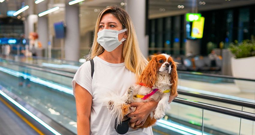 Flying with Pets in cabin