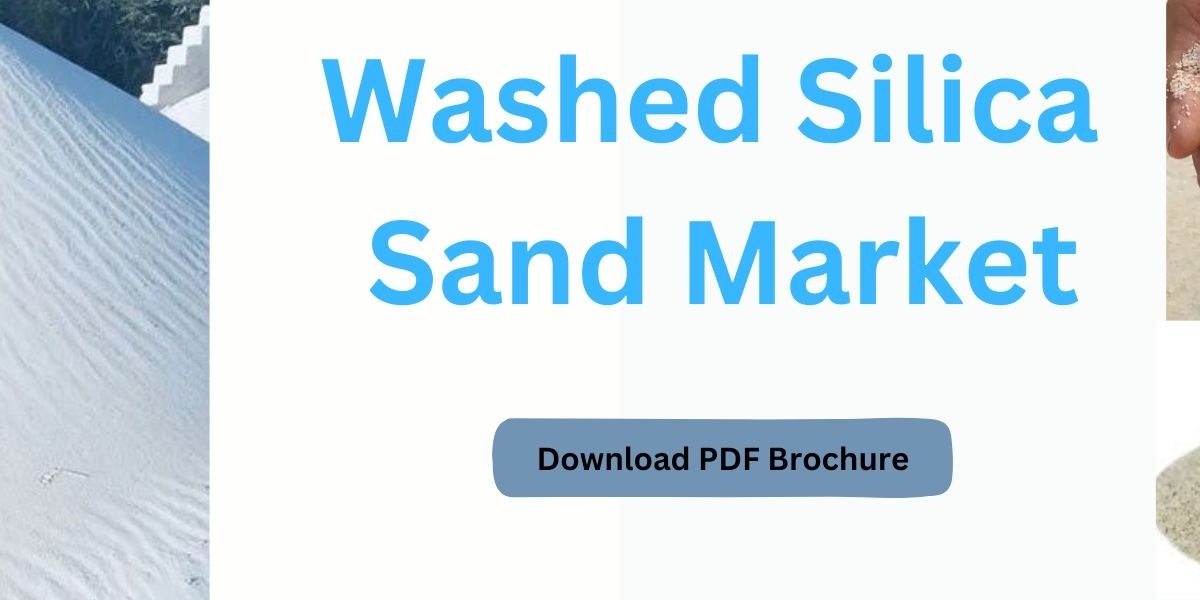 Washed Silica Sand Market  Company Share, Major Competitors, Regional Segments, Strategies, and Forecast until