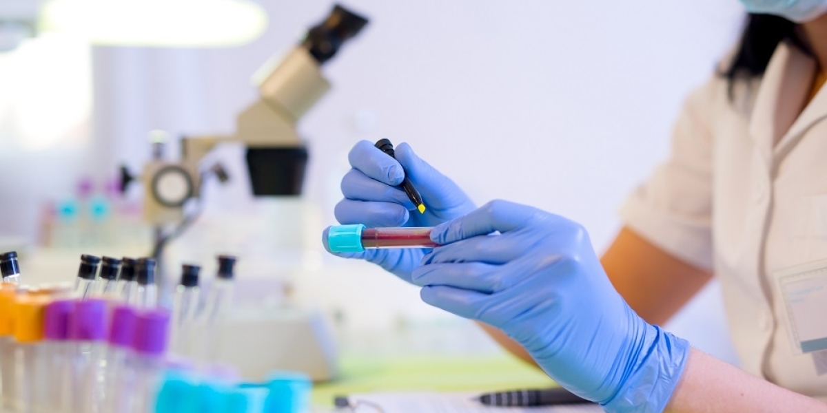 Global Clinical Laboratory Tests Market: Unveiling Key Trends and Market Dynamics