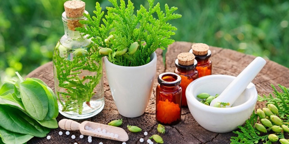 Navigating Success: Strategies For The Herbal Extract Market