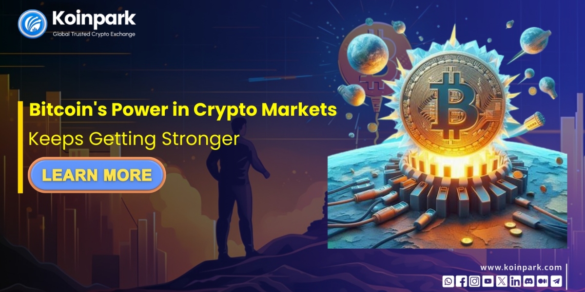 Bitcoin's Power in Crypto Markets Keeps Getting Stronger