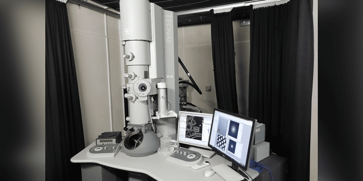 Peering into the Microscopic Universe: The Advancements in Global Electron Microscopy