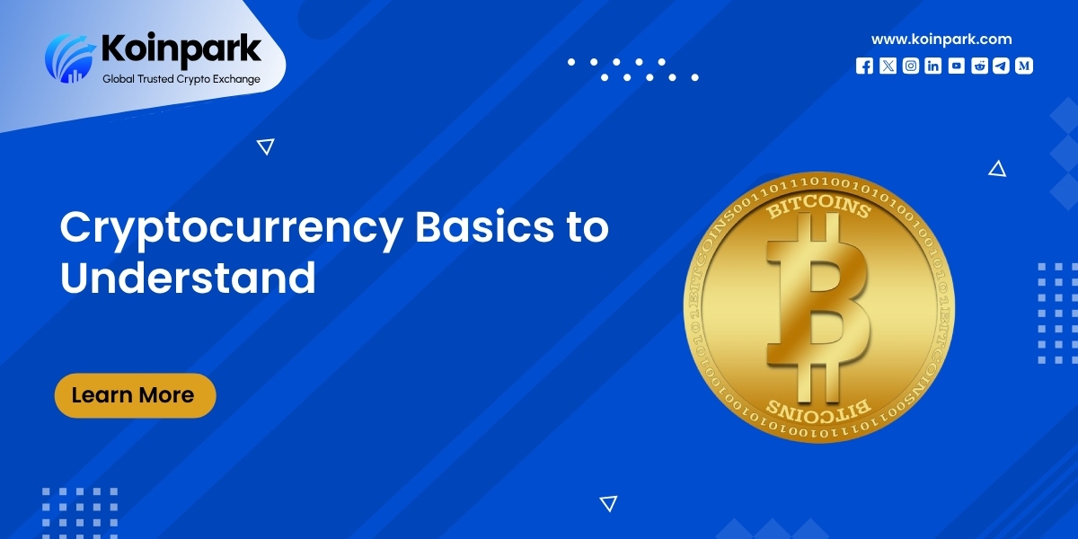 Cryptocurrency Basics to Understand