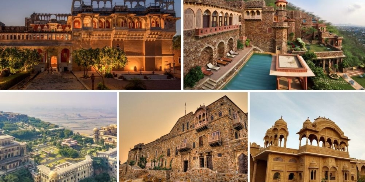 Rajasthan Tour Packages 2024 | Family and Group!