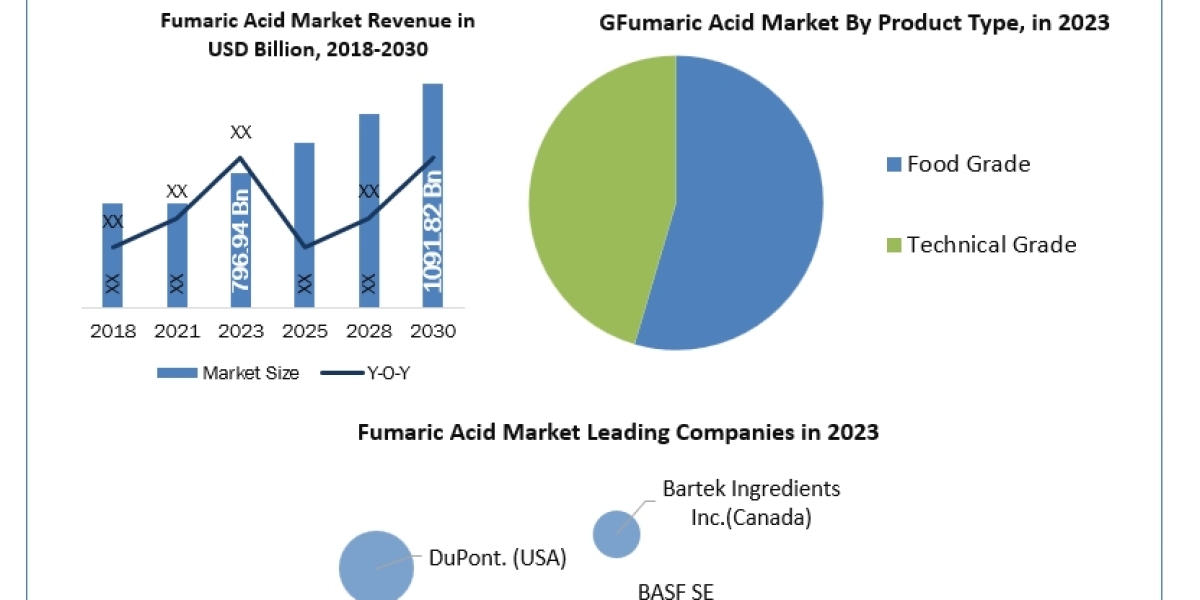 Floor Grinding Tools Market Trends, Analysis, Update, Share 2024-2030