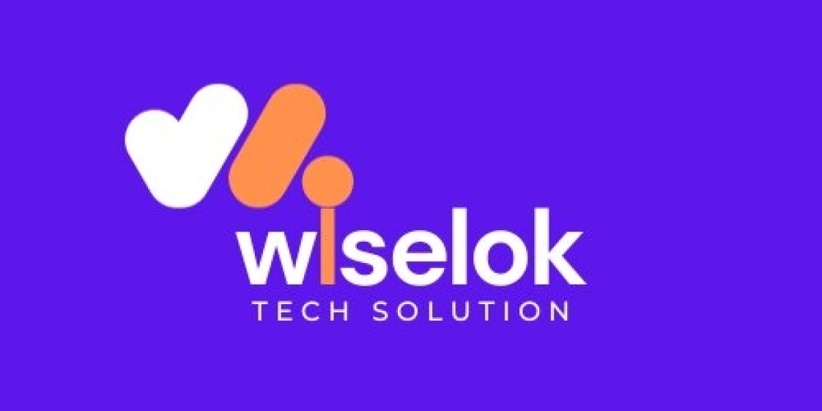 Best SEO Agencies in Jaipur - Wiselok Tech Solution