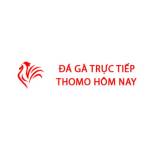 Đá Gà Trực Tiếp Thomo Hôm Nay