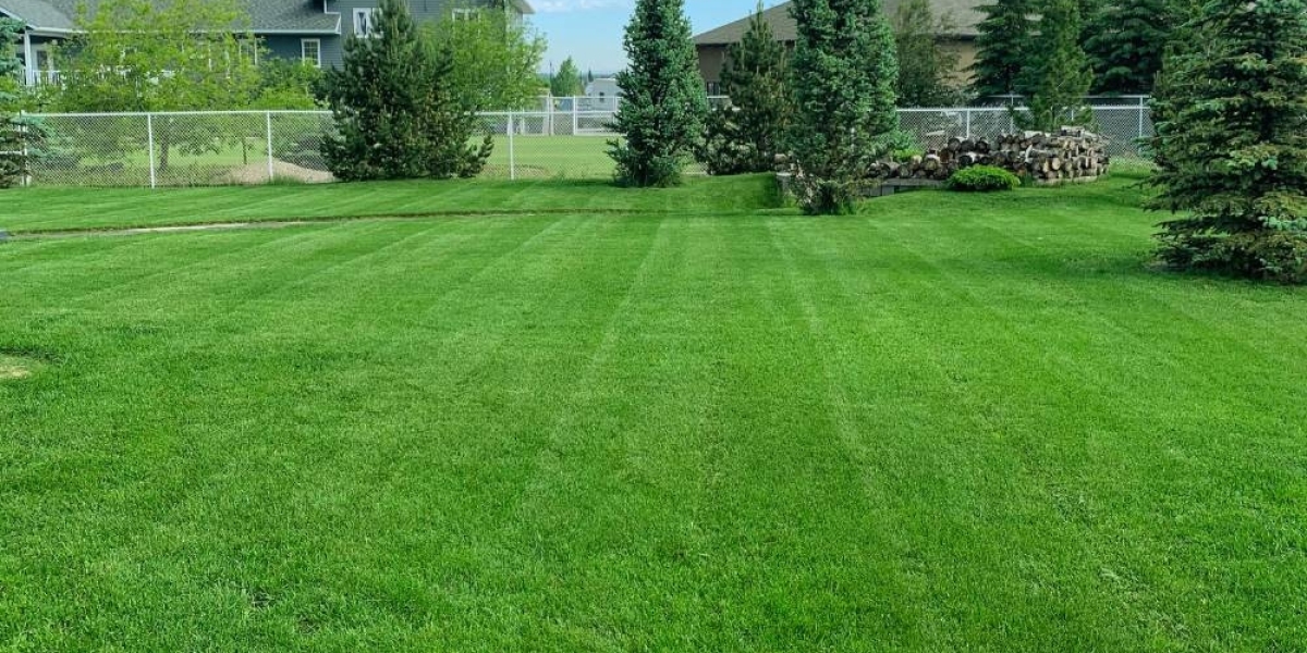 Unleash the Power of Turf Fertilizer: A Path to Luscious Lawns