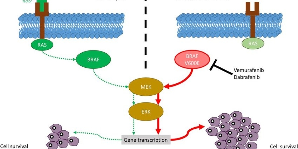 The Global BRAF Kinase Inhibitors Market is driven by Rapid Diagnosis and Treatment Monitoring