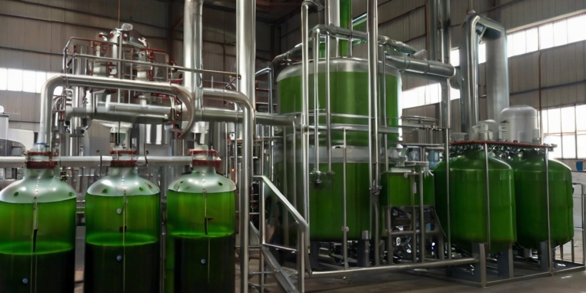 Algae Oil Processing Plant Project Report 2024: Setup Cost, Machinery Requirements and Raw Materials