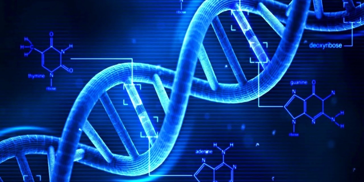 A Global Boom: The DNA Forensics Market Poised for $4 Billion Growth