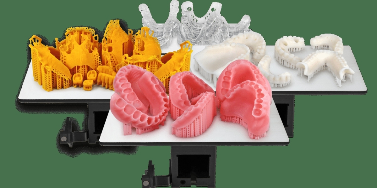 Dental 3D Printing Market Segmentation, Top Manufacturers and Forecast to 2033