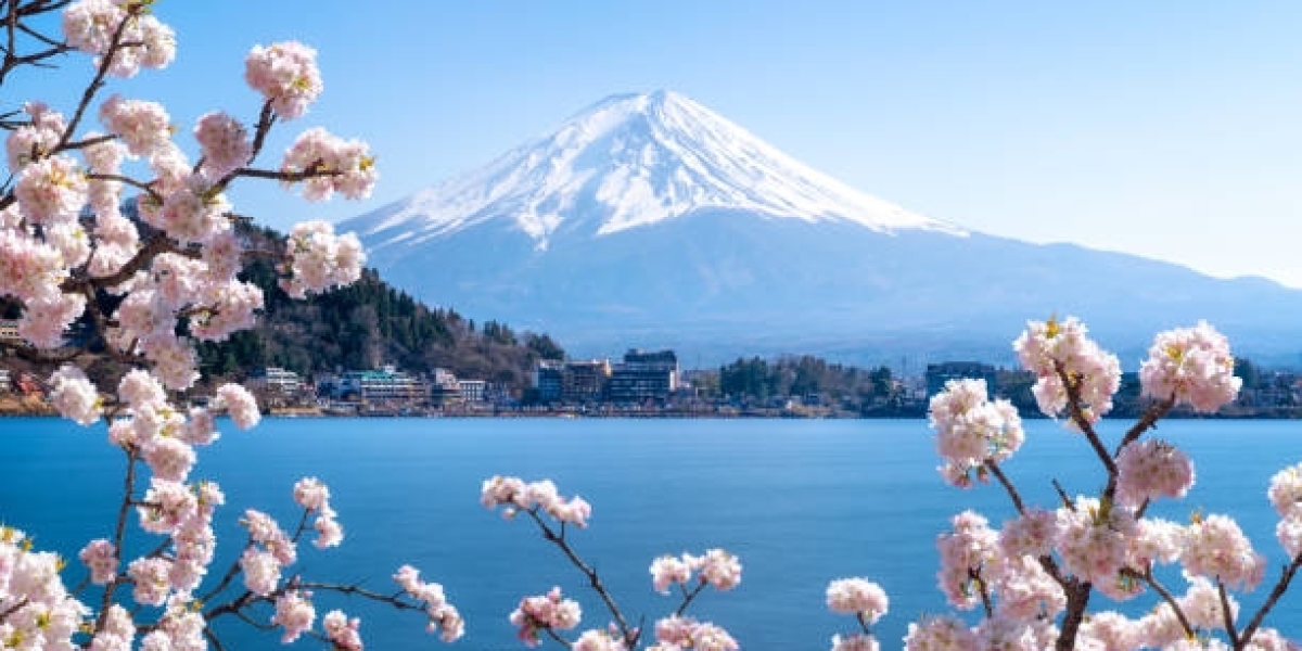 Fuji Tours: A Journey to Japan's Iconic Mount Fuji