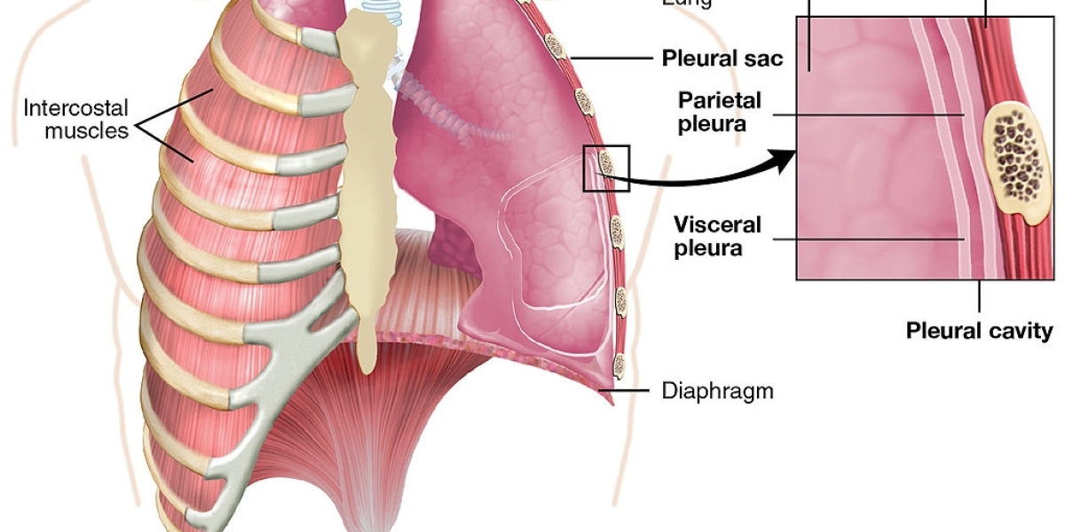 Pleural Diseases: Unraveling the Mysteries of Thoracic Afflictions