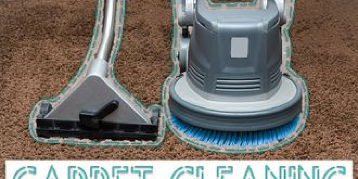 Top Reasons Why You Should Hire a Professional Carpet Cleaner in Brooklyn NY